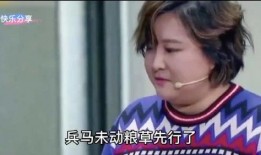 贾玲搞笑爆料视频大全集,笑料横飞，揭秘娱乐圈幕后趣事