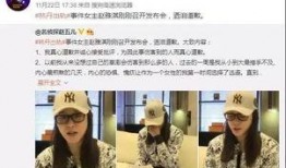 贾先生最新爆料新闻视频,最新爆料新闻视频深度解析